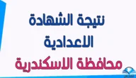 رسمياً رابط نتيجة الشهادة الإعدادية في الإسكندرية بالاسم ورقم الجلوس