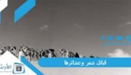 قبائل شمر وعشائرها.. شخصيات بارزة من قبائل شمر