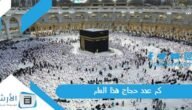 كم عدد حجاج هذا العام 1444 ملايين الحجاج على عرفات اليوم
