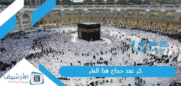 كم عدد حجاج هذا العام 1444 ملايين الحجاج على عرفات اليوم 1 كم عدد حجاج هذا العام 1444 ملايين الحجاج على عرفات اليوم