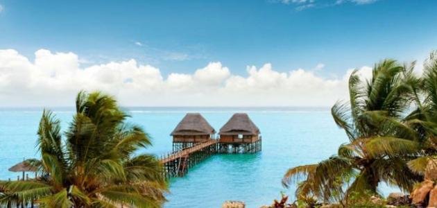 اين تقع جزيرة القرنفل – خليجنا