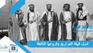 اصل قبيلة المزاريع وفروعها الكاملة