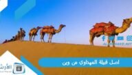 اصل قبيلة المهداوي من وين ، شجرة قبيلة المهداوي