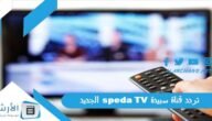تردد قناة سبيدة speda TV الجديد 2023 على النايل سات