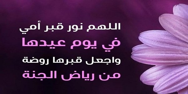 15+ دعاء لامي المتوفية في عيد الاضحى 2023 دعاء للميت يوم العيد الأضحى