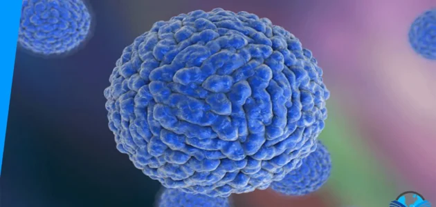 أسباب مرض الحمى النزفية والأعراض وطرق العلاج