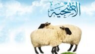 حديث نبوي عن ذبح الأضحية