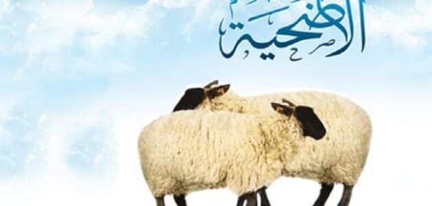 حديث نبوي عن ذبح الأضحية