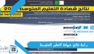 رابط نتائج شهادة التعليم المتوسط 2023 الديوان الوطني للامتحانات والمسابقات