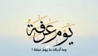 دعاء يوم عرفة مكتوب مستجاب 2023 “ادعية يوم عرفة لقضاء الحاجة”