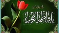 كيف ماتت فاطمة الزهراء عند السنة