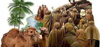 كم كان عمر الامام علي يوم الغدير – خليجنا