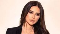 من هو زوج ديانا فاخوري ويكيبيديا