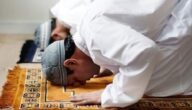 هل يجوز صلاة الفجر وقت الشروق ابن باز