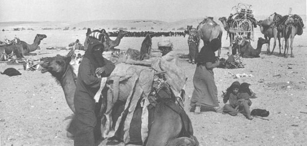 القريني وش يرجع واصلهم – خليجنا