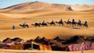 الحبابي وش يرجع – خليجنا