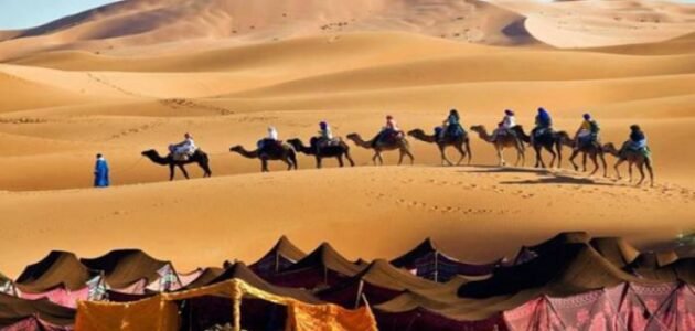 الحبابي وش يرجع - خليجنا 1 الحبابي وش يرجع – خليجنا