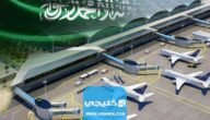 كم طيارة لها شركة طيران الرياض الجديدة في السعودية