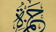 ما معنى اسم حمزة في القرآن