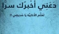 قراءة وتحميل كتاب دعني أخبرك سرا pdf