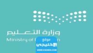 “جميع المقبولين” رابط نتائج المرشحين لوظيفة معلم ممارس في السعودية.. نتيجة الوظائف التعليمية للجنسين عبر موقع جدارات Jadarat.sa