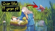 من هو النبي الذي رمته امه في نهر النيل