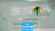 رابط الاستعلام عن صلاحية رخصة العمل في السعودية mol.gov.sa