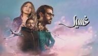 كم عدد حلقات مسلسل غسيل