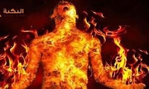 ما حكم حرق الحشرات بالنار – خليجنا