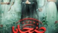 كم عدد حلقات مسلسل ضحايا حلال