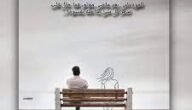 قصة زين وحور بقلم شهد محمد جاد الله