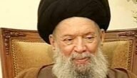 في اي سنة توفي السيد محمد حسين فضل الله