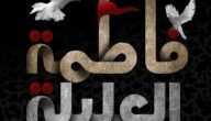 من هي العليله فاطمة – خليجنا