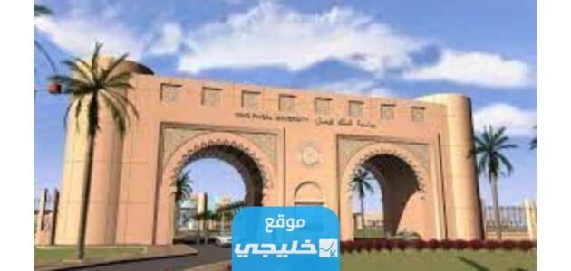 التقديم على الدبلوم الانتقالي جامعة الملك فيصل 1445 بالرابط والخطوات