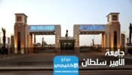 تخصصات جامعة الامير سلطان 1445 شروط القبول