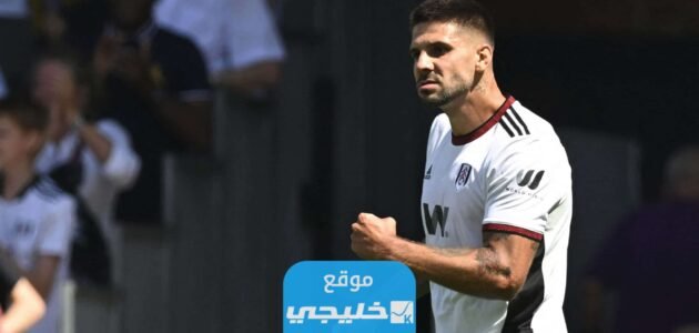 حقيقة انتقال الكسندر ميتروفيتش إلى نادي الهلال السعودي.. تفاصيل كاملة 1 حقيقة انتقال الكسندر ميتروفيتش إلى نادي الهلال السعودي.. تفاصيل كاملة