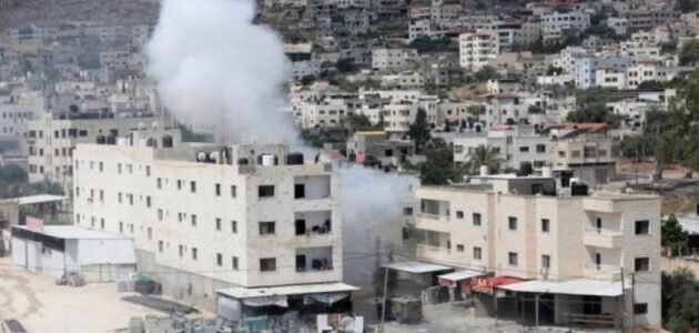 كم تبلغ مساحة مخيم جنين – خليجنا 1 كم تبلغ مساحة مخيم جنين – خليجنا