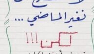 عبارات عن المستقبل الدراسي 2023 كلمات عن المستقبل والنجاح