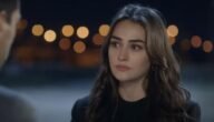 كم عدد حلقات مسلسل رامو