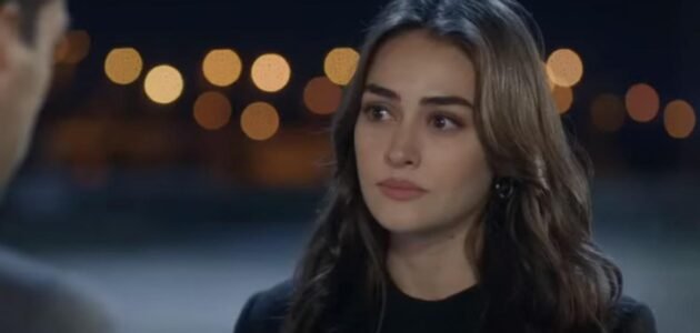 كم عدد حلقات مسلسل رامو 1 كم عدد حلقات مسلسل رامو