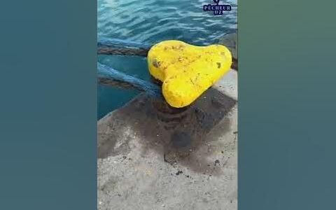 ما معنى طنة اوت – خليجنا