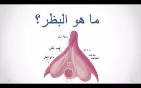 ما هو البظر عند المرأة