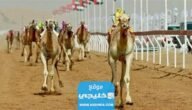 كم تبلغ جوائز مهرجان ولي العهد للهجن في السعودية 2023