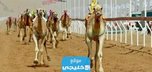 كم تبلغ جوائز مهرجان ولي العهد للهجن في السعودية 2023