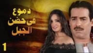 كم عدد حلقات مسلسل دموع في حضن الجبل