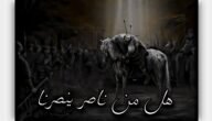 لماذا قال الامام الحسين الا من ناصر ينصرنا