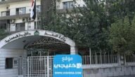 “رسميا” رابط نتائج الثانوية المهنية النفطية مناجم وتعدين في سوريا 2023 الدورة الاولى
