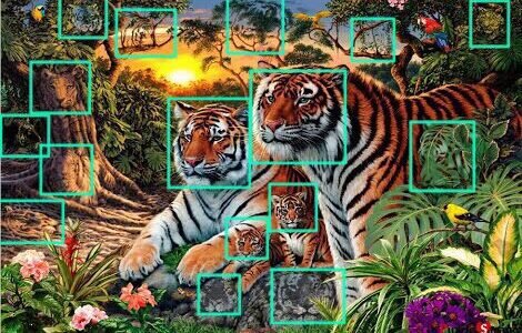 كم نمر في الصورة – خليجنا