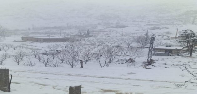 بقاعصفرين ويكيبيديا – خليجنا 1 بقاعصفرين ويكيبيديا – خليجنا