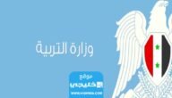 نتائج البكالوريا سوريا 2023: رابط نتائج البكالوريا علمي سوريا 2023 بالاسم ورقم الاكتتاب عبر موقع الوزارة
